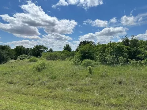lot215 Evening Primrose Dr, Graford, TX 76449