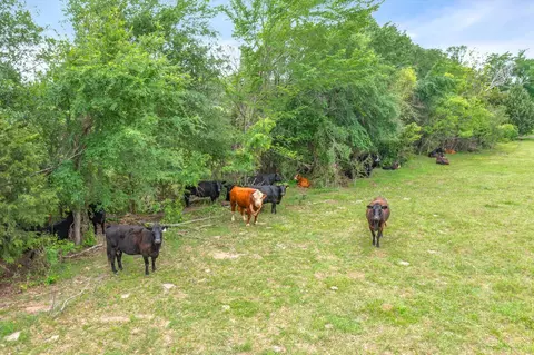 Vz County Road 2908, Eustace, TX 75124 photo 15