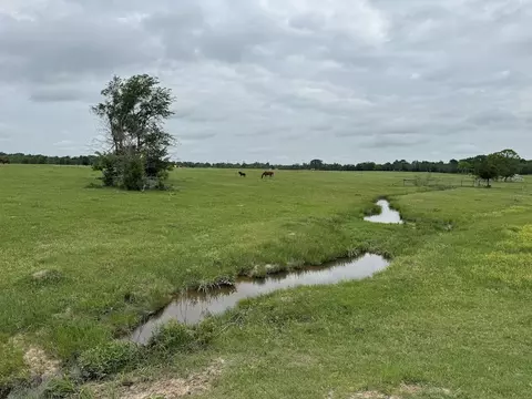 Vz County Road 2908, Eustace, TX 75124 photo 28