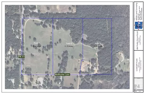 Tract 2 Wolfhunter Lane, Valley View, TX 76272