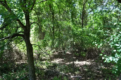 0 County Road 2854 Rd, Eustace, TX 75124 photo 4