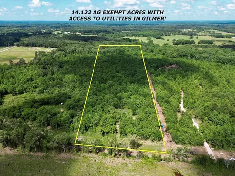9443 Mistletoe Rd #LOT 9, Gilmer, TX 75644