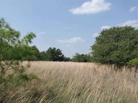 tbd County Road 190, Comanche, TX 76435 photo 3