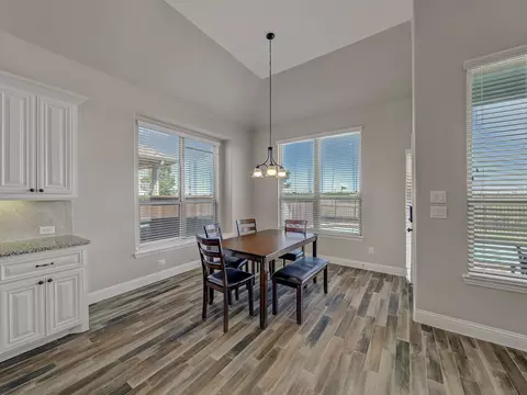 16521 Millenium Park Pl, Prosper, TX 75078 photo 11
