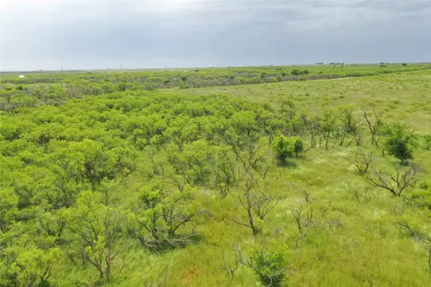 tbd Fm 2321 Tract 2, Bellevue, TX 76228