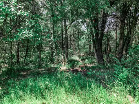 0 Fm 1500, Sumner, TX 75486 photo 15