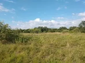 30002 Woodcrest Dr, Whitney, TX 76692