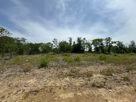 lot89 Elsie Andy Dr, Possum Kingdom Lake, TX 76450