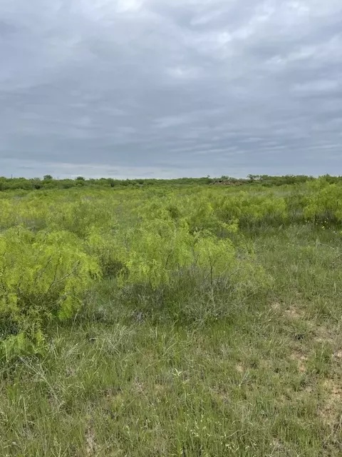 000 Hopewell, Bellevue, TX 76228