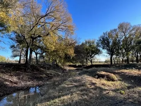 tbd Cavalier Ct, Strawn, TX 76475 photo 25
