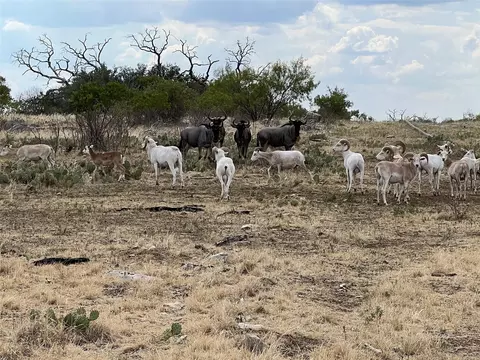 tbd Cavalier Ct, Strawn, TX 76475 photo 16