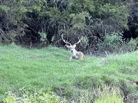 tbd Cavalier Ct, Strawn, TX 76475 photo 19