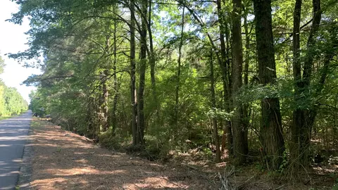10040 Cook Rd, Bethany, LA 71007 photo 3