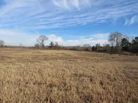 AN County Road #3471, Palestine, TX 75803