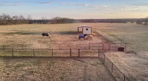 Other - 3547 County Road 1092, Celeste, TX 75423 photo 4 of 4