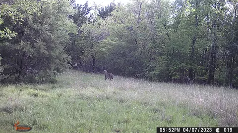 0 Cr 286, Gustine, TX 76455 photo 26