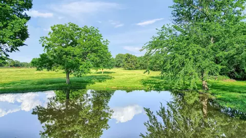 tbd Fm 2645, Savoy, TX 75479