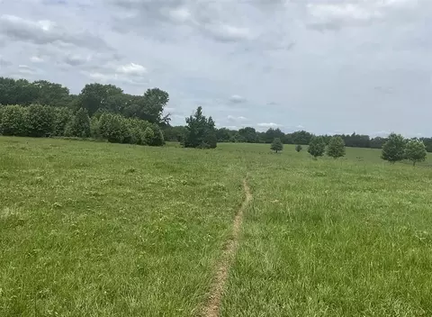 tbd County Road 2314, Pittsburg, TX 75686