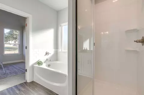 Bath - 1005 Springfield Dr, Springtown, TX 76082 photo 5 of 6