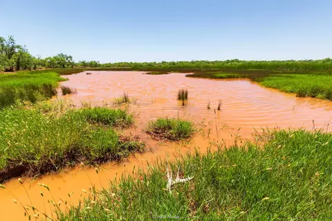 tbd Cr 273, Roby, TX 79543