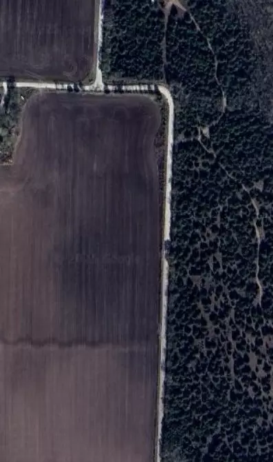 4809 County Road 4809, Commerce, TX 75428 photo 5