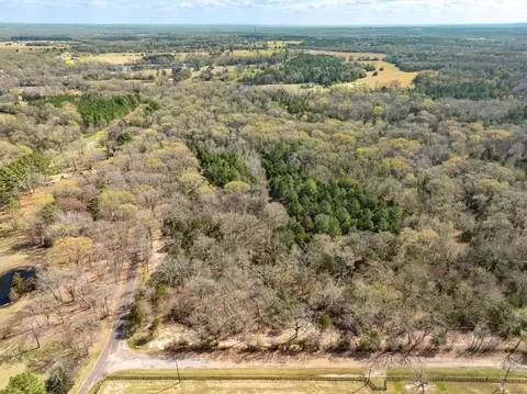 Tract 1 Tbd Vzcr 1507, Grand Saline, TX 75140