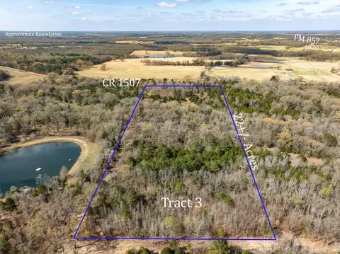 Tract 3 Tbd Vzcr 1507, Grand Saline, TX 75140