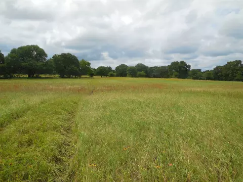 tbd County Road 488, Ranger, TX 76470