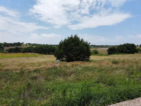 2939 Mattie Ross Rd, Cresson, TX 76035
