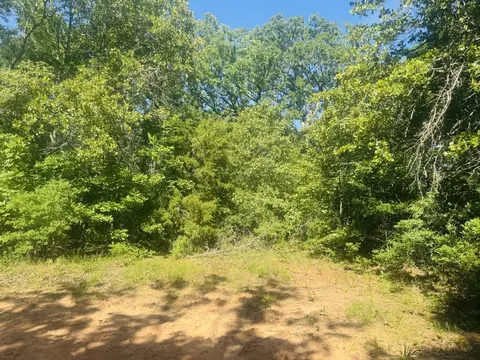 000 Pr 45611, Blossom, TX 75416