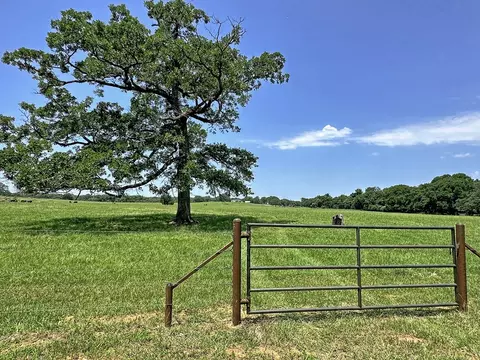 tbd Cr-1127, Athens, TX 75751