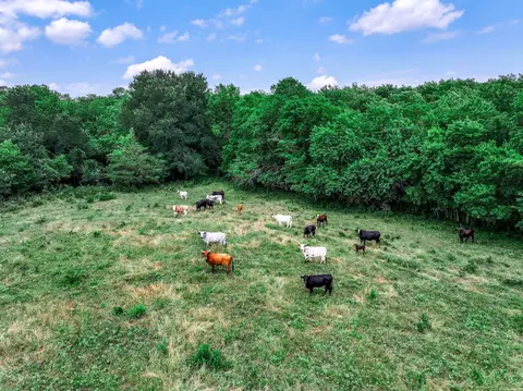 66 682 Acres County Road 2190, Commerce, TX 75428