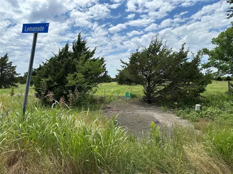 lot7 Lemonade Ln, Farmersville, TX 75442