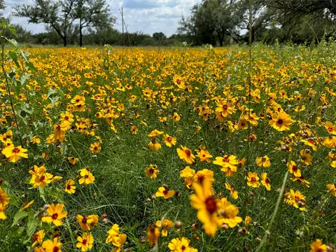 tbd 1018 Lake Breeze Dr, Brownwood, TX 76801