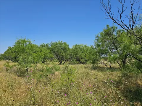 tbd Cr 258, Clyde, TX 79510