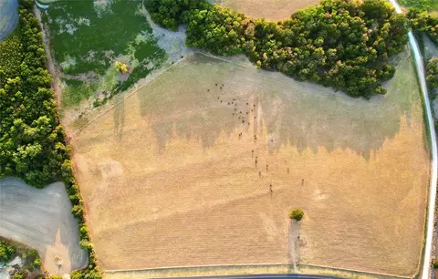 tbd Fm 2643, Lorena, TX 76655 photo 7