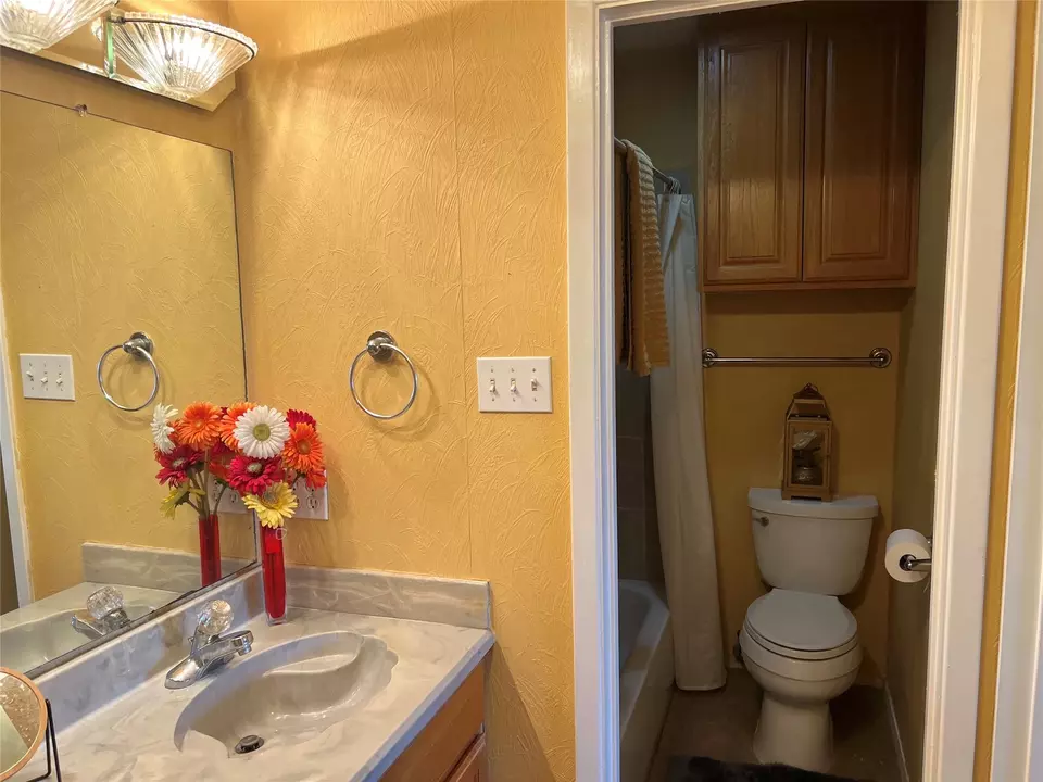 Bath - 696 Harbor Dr N, Azle, TX 76020 photo 3 of 4