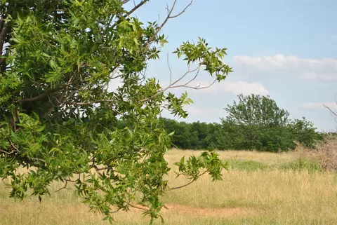 tbd Cr 416, Comanche, TX 76442 photo 25