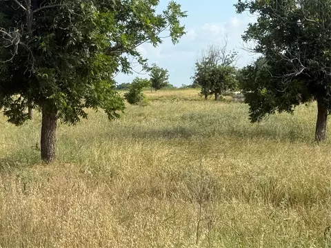 tbd Cr 416, Comanche, TX 76442 photo 5