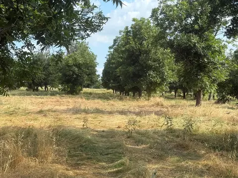 tbd Cr 416, Comanche, TX 76442