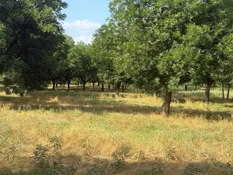 tbd Cr 416, Comanche, TX 76442 photo 8