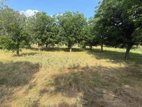 tbd Cr 416, Comanche, TX 76442 photo 12