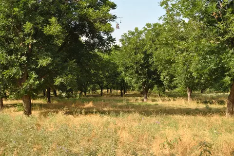 tbd Cr 416, Comanche, TX 76442 photo 14