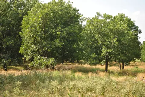 tbd Cr 416, Comanche, TX 76442 photo 18