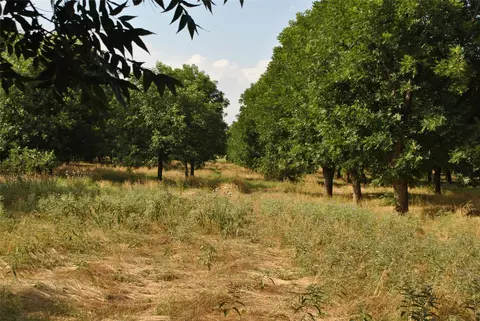 tbd Cr 416, Comanche, TX 76442 photo 17