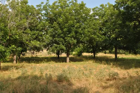 tbd Cr 416, Comanche, TX 76442 photo 16