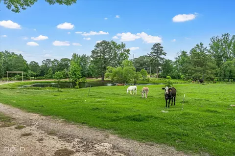 Other - 9347 Highway 3, Plain Dealing, LA 71064 photo 3 of 4