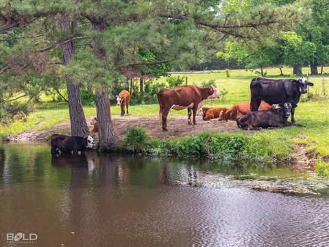 Other - 9347 Highway 3, Plain Dealing, LA 71064 photo 1 of 4