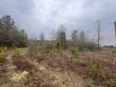 321 Fuller Rd, Minden, LA 71055 photo 6