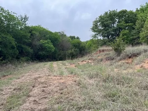 35 Ac Two Bush Rd, Perrin, TX 76486 photo 6